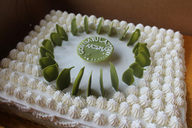 A beautiful cake with green tea for decoration